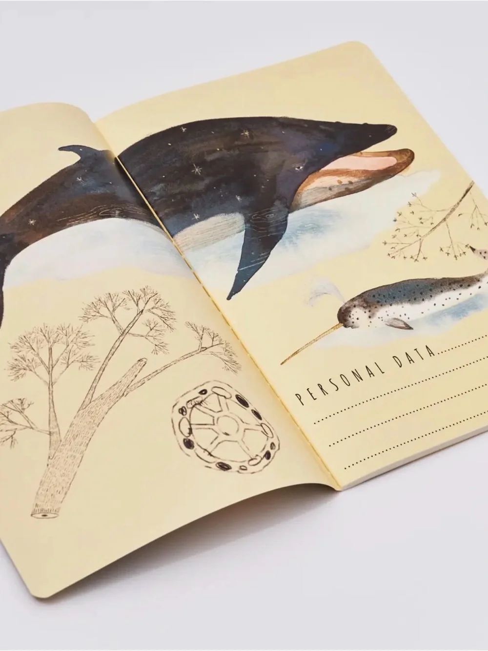 Whales Notebook